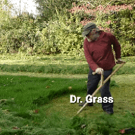 grass doctor