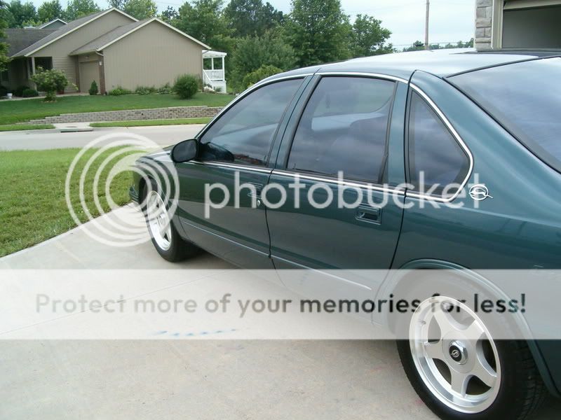 impala2007005.jpg