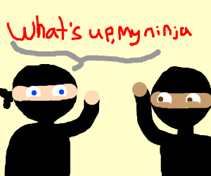 Image result for my ninja